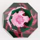 A Caithness Colin Terris Floribunda Limited Edition Paperweight 1998
