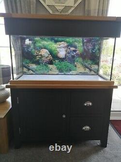 AquaOak Black Edition 200 litre aquarium limited edition