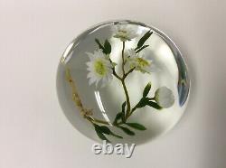 BEAUTIFUL Vintage PAUL STANKARD floral Daisy Art Glass PAPERWEIGHT B979 1983
