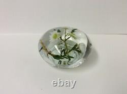 BEAUTIFUL Vintage PAUL STANKARD floral Daisy Art Glass PAPERWEIGHT B979 1983