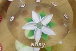 Boxed Ltd Ed Selkirk Glass Clematis Paperweight(54/250) PH Cane 2 3/4