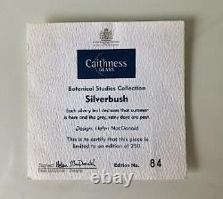 CAITHNESS GLASS PAPERWEIGHT SILVERBUSH Limited Edition