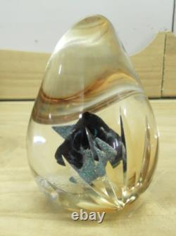Caithness Bedouin Glass Paperweight Signed Limited Edition 139/350