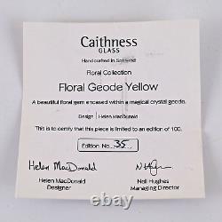 Caithness Floral Geode Yellow Paperweight Limited Edition 35/100 Helen MacDonald