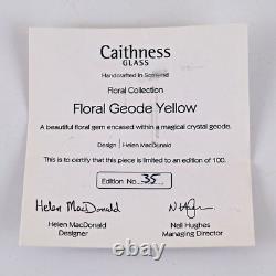 Caithness Floral Geode Yellow Paperweight Limited Edition 35/100 Helen MacDonald
