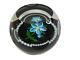 Caithness Glass Paperweight Blue Flora Limited Edition 91 Of 500