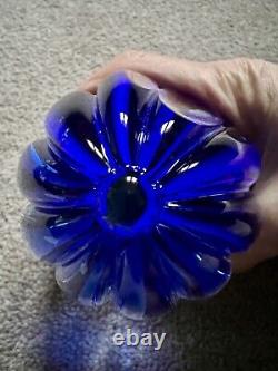 Caithness Glass Paperweight Nature's Seeds Blue No. 31 / 150 Limited Edition