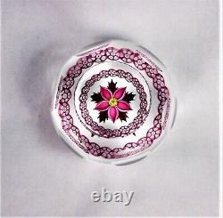 Caithness Paperweight Winter Flower Excellent Lamp Work 375/500 Very Rare