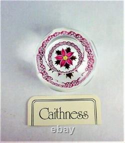 Caithness Paperweight Winter Flower Excellent Lamp Work 375/500 Very Rare