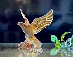 Daum Limited Edition Sea Eagle Pate de Verre 11 Wingspan Mint with Box