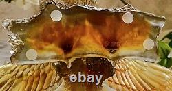 Daum Limited Edition Sea Eagle Pate de Verre 11 Wingspan Mint with Box