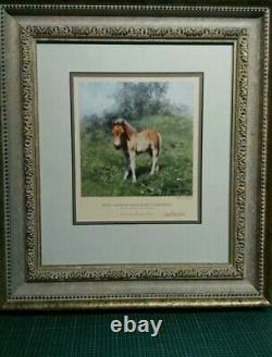 David Shepherd Shetland Pony Signed limited edition Framed Museum Glass