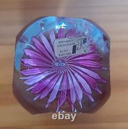 Extremely Rare Limited Edition PERTHSHIRE-PINK DAHLIA-1972 Paperweight-No 40/200