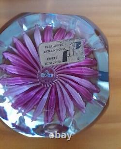 Extremely Rare Limited Edition PERTHSHIRE-PINK DAHLIA-1972 Paperweight-No 40/200