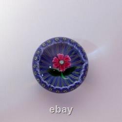 Incredible Pink Flower Art Glass Paperweight Perthshire Limited with Box