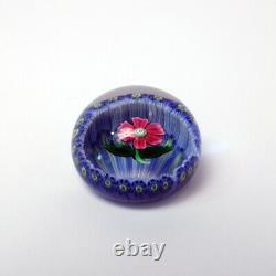 Incredible Pink Flower Art Glass Paperweight Perthshire Limited with Box