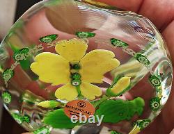 Large Selkirk Glass Ltd Ed Lampwork & Millefiori Primrose Yelverton Paperweight