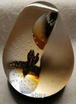 Limited Edition Caithness Glass FACETED Paperweight Black Narcissus Colin Terris