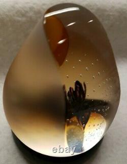 Limited Edition Caithness Glass FACETED Paperweight Black Narcissus Colin Terris