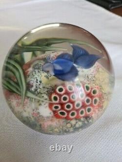 Limited Edition Orient & Flume Blue Beta Fish Paperweight S Beyers 112/250