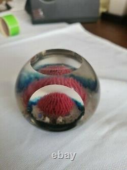 Limited Edition Selkirk'Rockpool' Paperweight 1989 72/500 Boxed