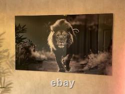 Lion Acrylic Glass Wall Art Print 105cm x60cm Limited Edition