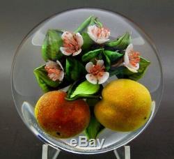 RICK AYOTTE White Flowers and Peach Fruits LT ED Glass Paperweight, Ap 2.25x3.5