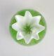 Rare Caithness Limited Edition Chantilly Flower Art Glass Paperweight 384/500