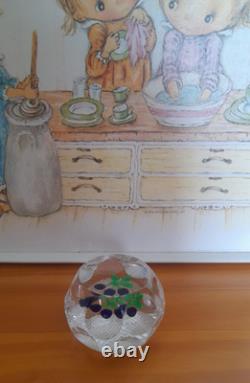 Rare Limited Edition PERTHSHIRE DAMSON PLUM 1977 Paperweight