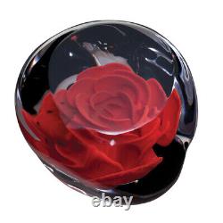 Red Rose RHS Collection Limited Edition Paperweight by Caithness Glass L14043