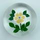 Saint Louis'yellow And White Flower' Ltd Ed 250 In 1987