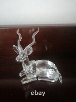 Superb Swarovski kudu rare limited edition year Figure with original certificate