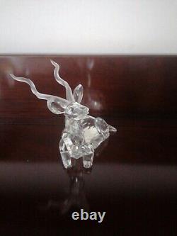 Superb Swarovski kudu rare limited edition year Figure with original certificate