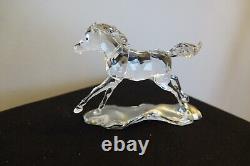 Swarovski SCS Foal (5004729)