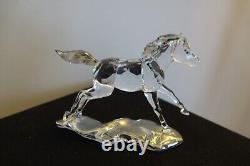 Swarovski SCS Foal (5004729)