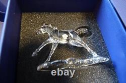 Swarovski SCS Foal (5004729)