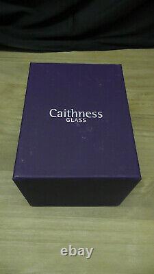 Very Rare CAITHNESS Flutter Bye Paperweight, Butterfly Limited Edition 8/100