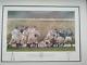 Very Rare Limited Edition England Rugby Team Grand Slam 1995 Framed No Glass