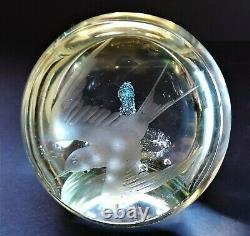 Vintage Caithness Denis Mann Diving Tern Paperweight Limited Edition 1976