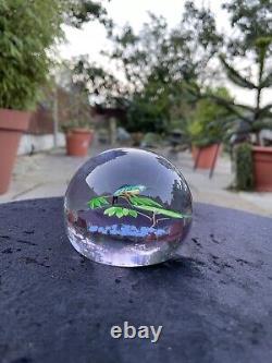 William Manson Caithness Glass Kingfisher Lampwork Ltd Edition Paperweight Boxed