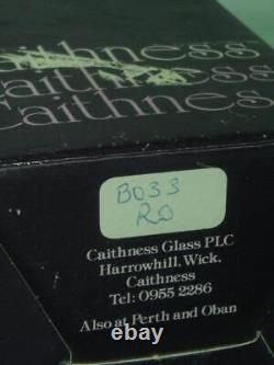 1974 Caithness CANARD SAUVAGE VERRE GRAVÉ David Gulland Édition Limitée Signée + Boîte
