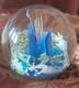 Poids De Papier En Verre Artistique De Caithness Écosse Impressions 69/750 Édition Limitée