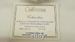 Poids en verre de Caithness Columbine Edition Limitée 45/50